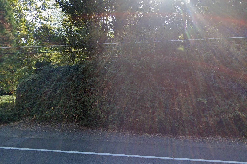 Calling All Pets, Inc.