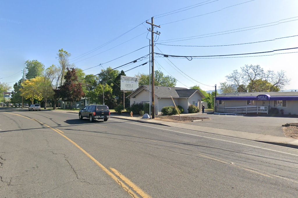 Committed Alliance To Strays