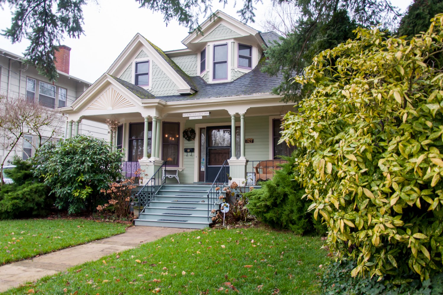 Feral Cat Coalition of Oregon