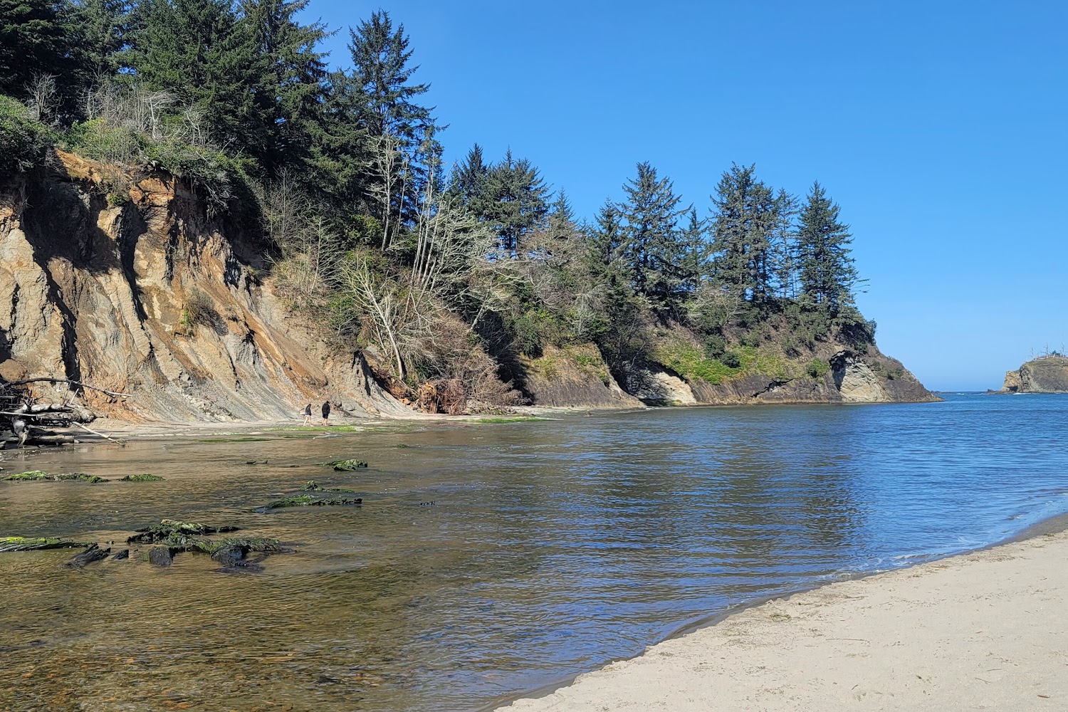 Friends of Coos County Animals