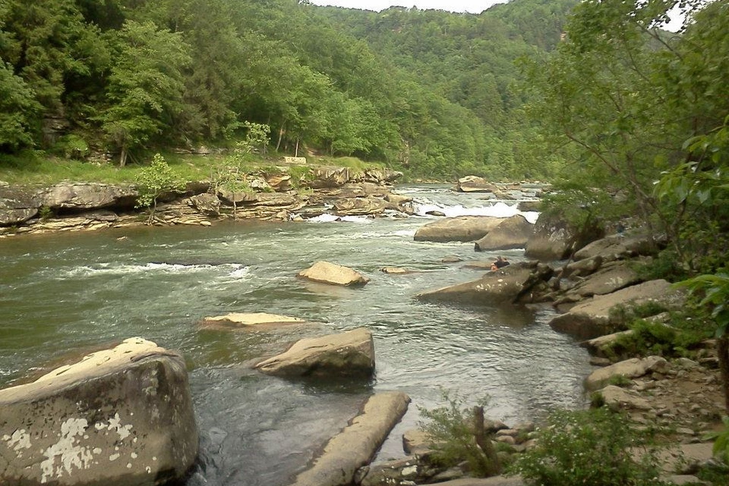 Nicholas County Animal Shelter