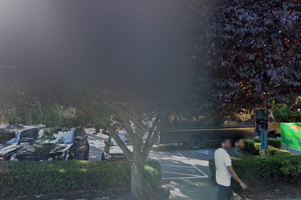 Companion Animal Hospital