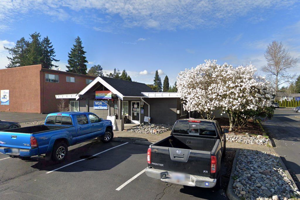 VCA Kent Animal Hospital