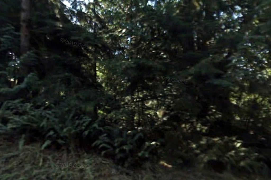 Country Critters Rescue Corral