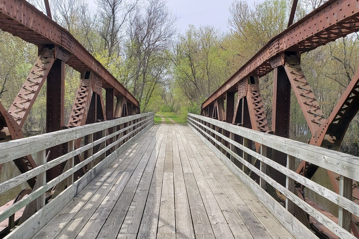 Fox Valley Great Dane Club & Rescue