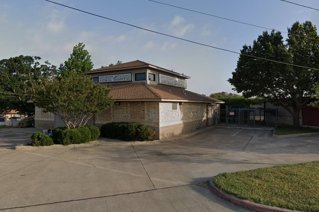 Love Freeway Animal Hospital