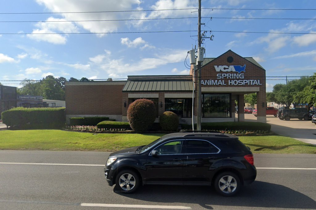 VCA Spring Animal Hospital