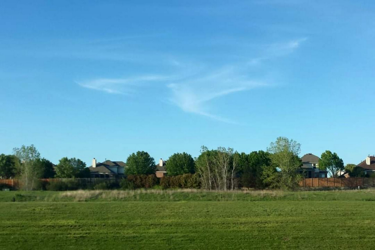 Animal Rescue League