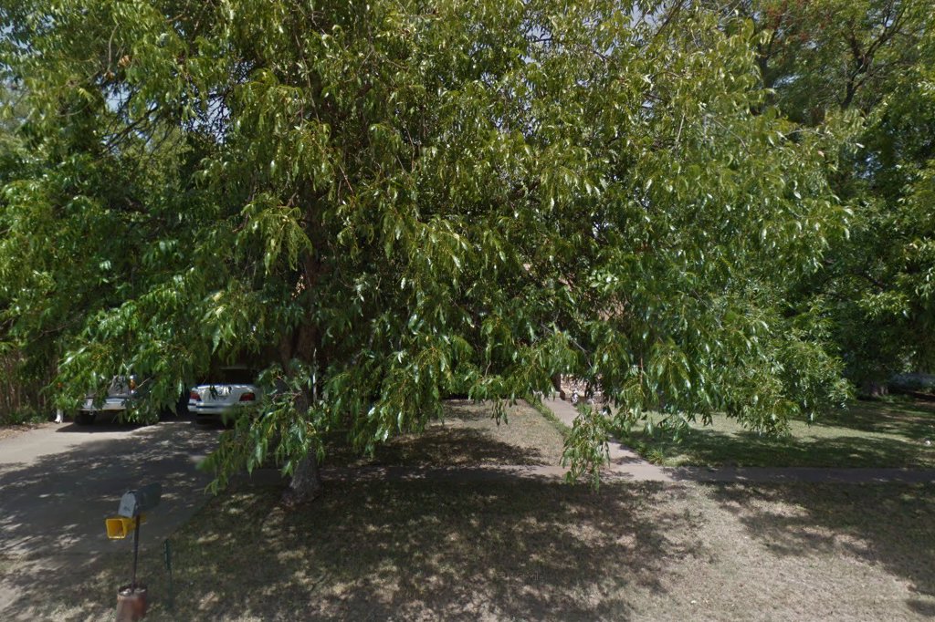 Lake Whitney Humane Society