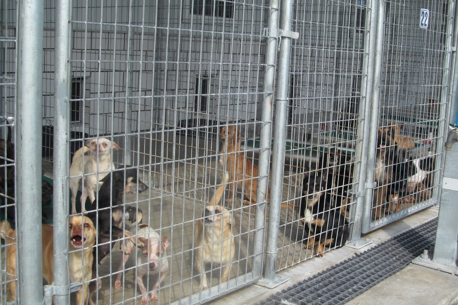 Welcome Home Barnyard Animal Sanctuary