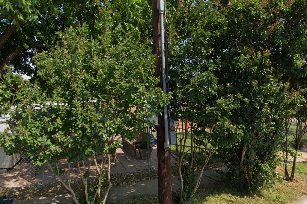 Humane Society of Dallas County/Dog and Kitty City