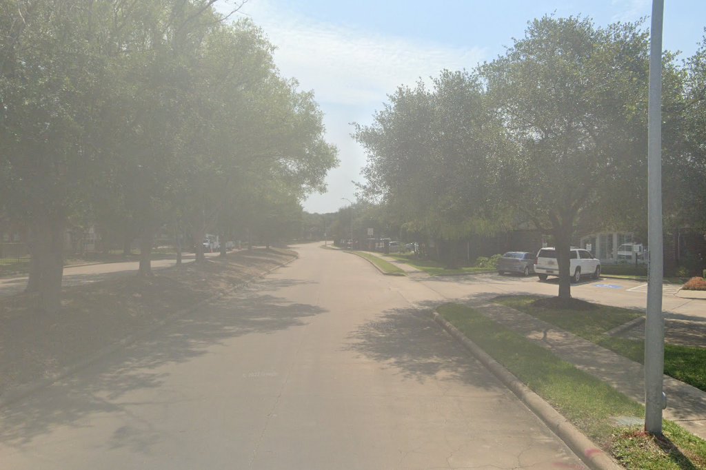 Homeless & Orphaned Pets Endeavor