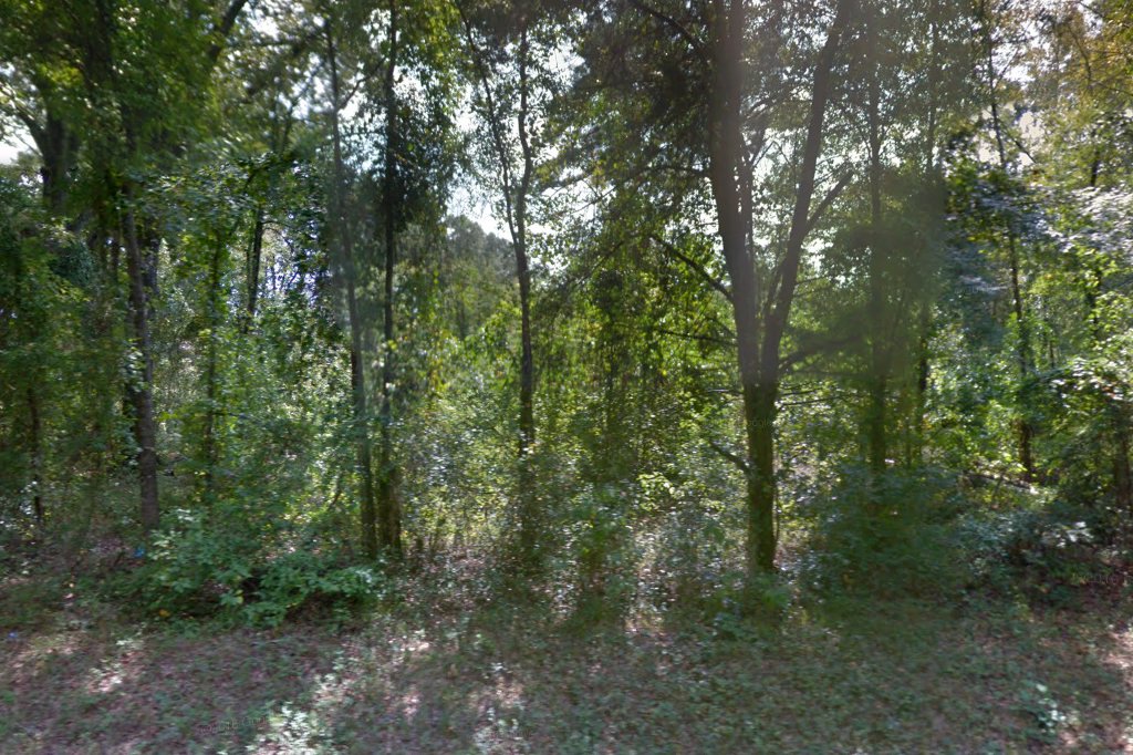 Tiger Creek Wildlife Refuge