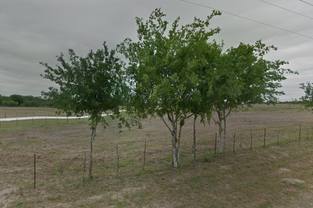 Beeville Animal Shelter