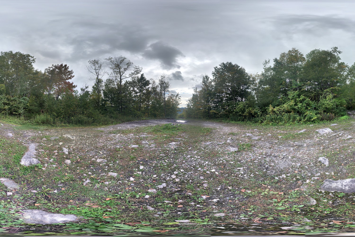 Aeolus Animal Hospital & Equine Center