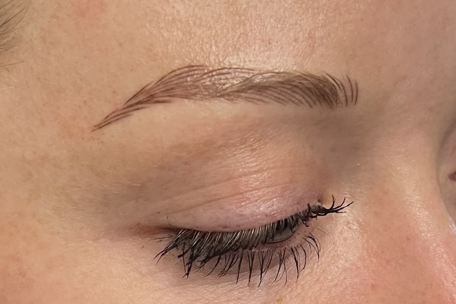 Vermont Humane Federation