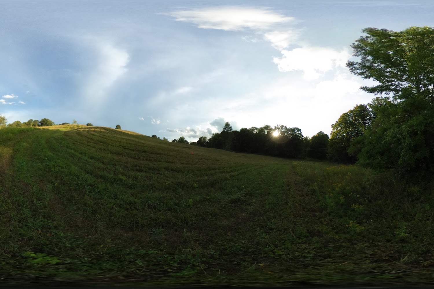 Lucy Mackenzie Humane Society