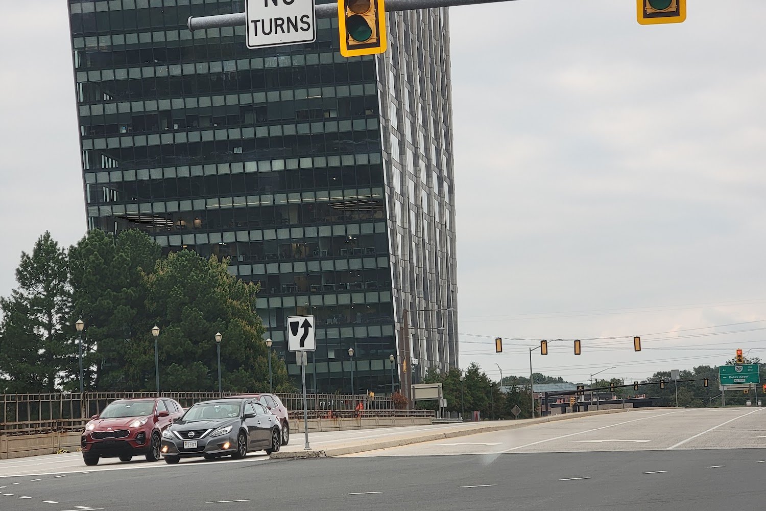 PAWS & Claws Animal Rescue