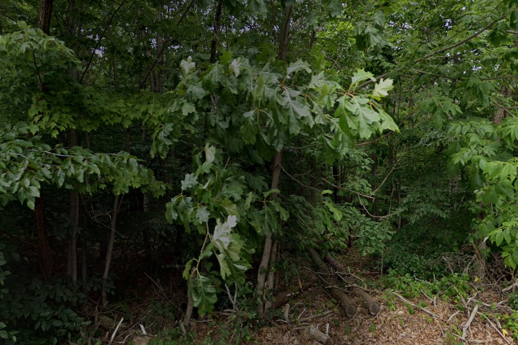 Humane Society of Amherst County