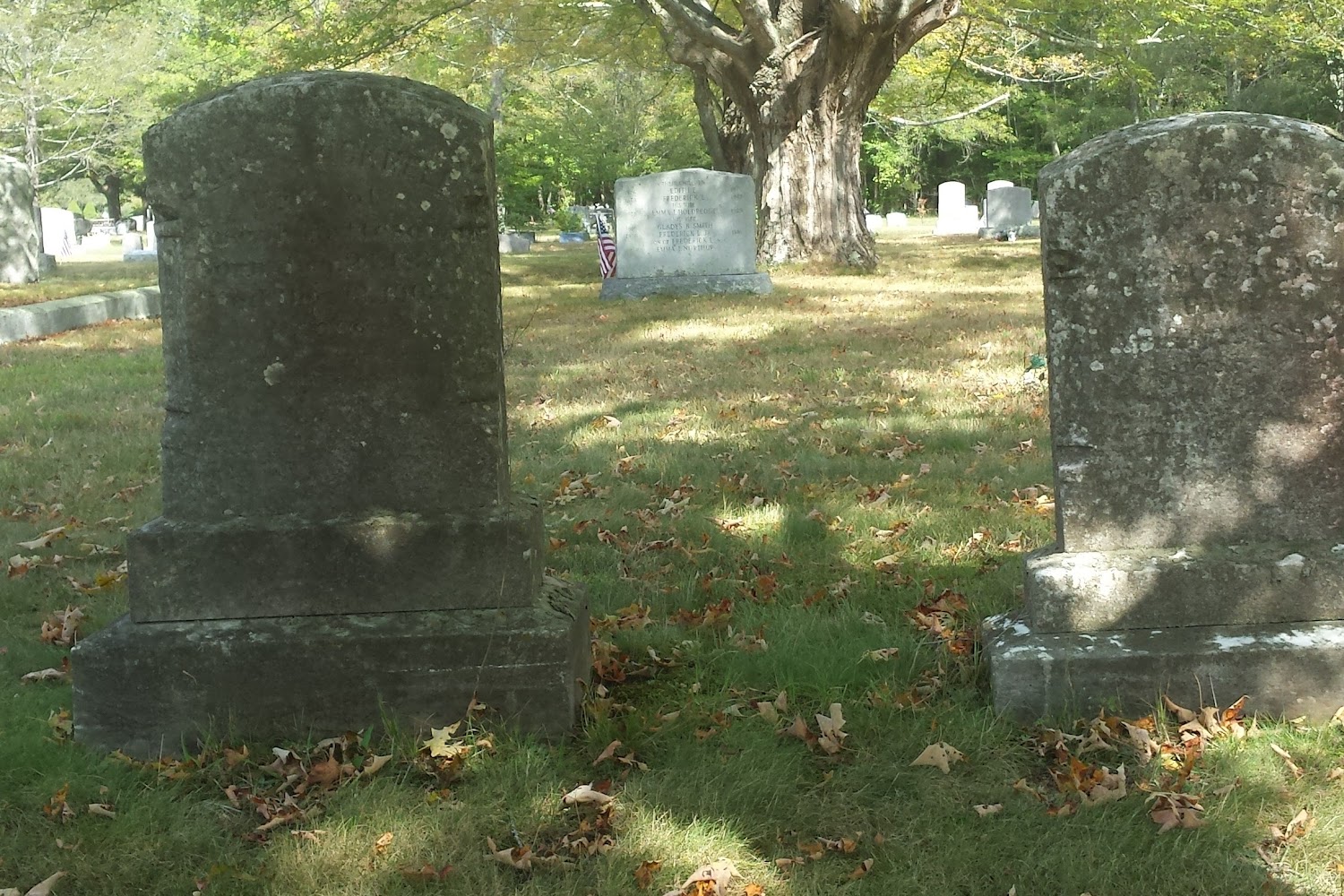 North Kingston Animal Protection League