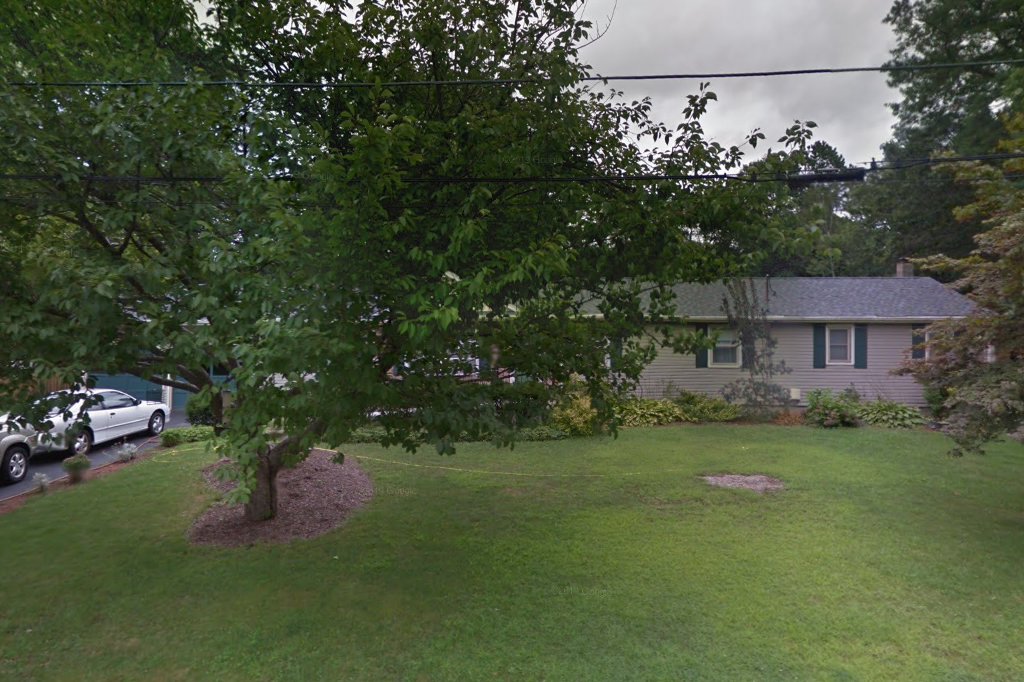 Swansea Friends of Animals