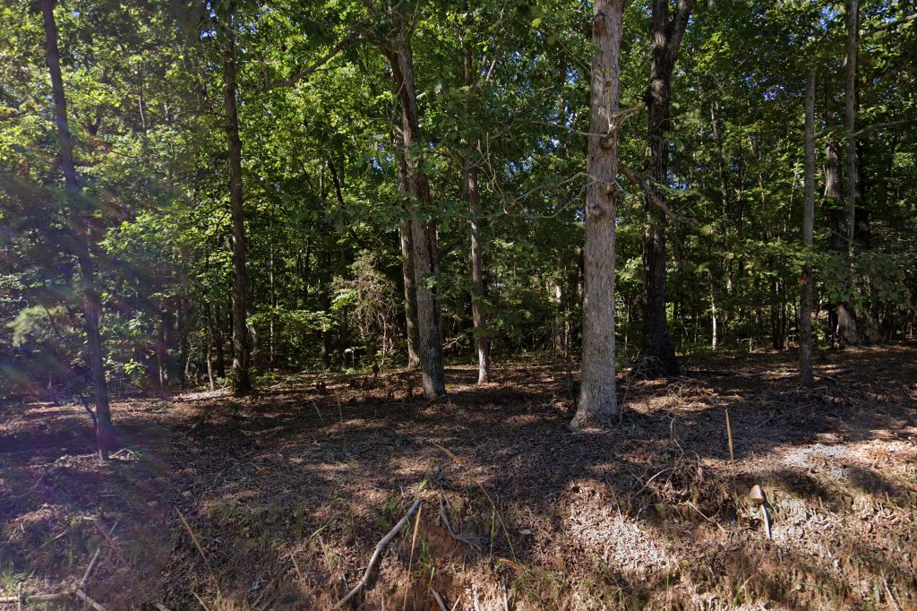 Foothills Humane Society. Foothills Humane Society