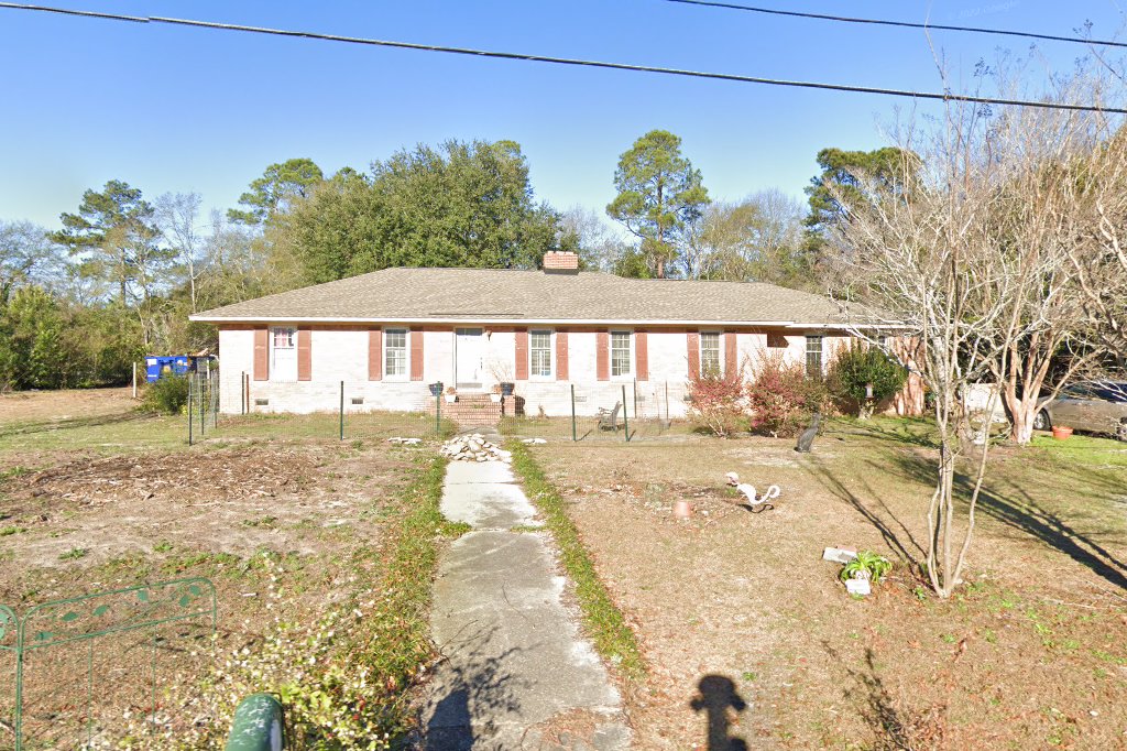 Greyhound Lifesavers