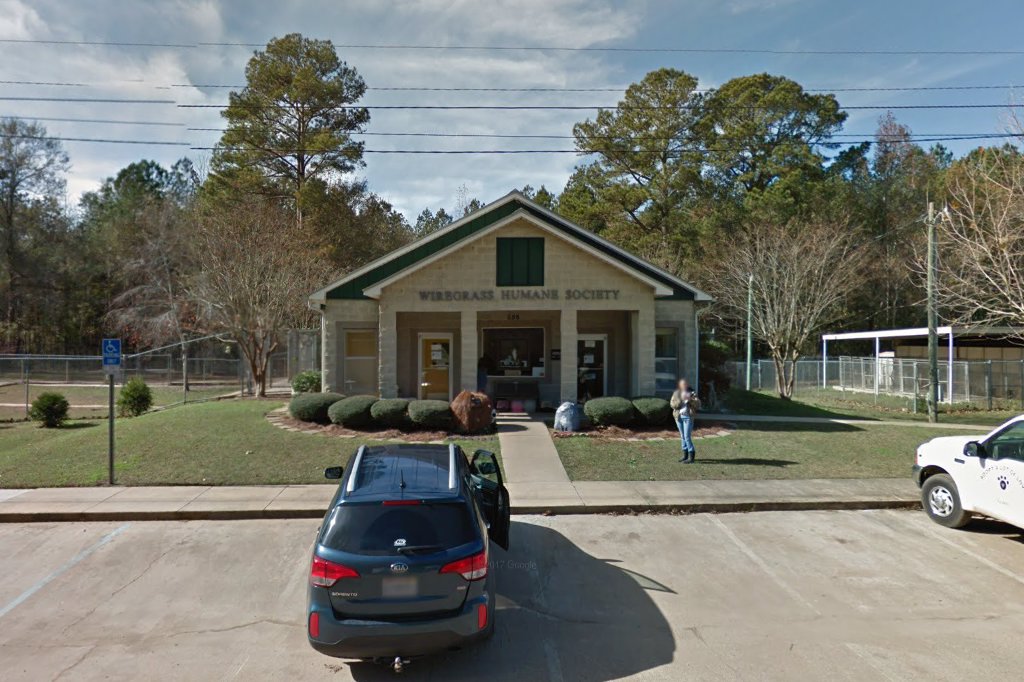 Dothan City Animal Shelter