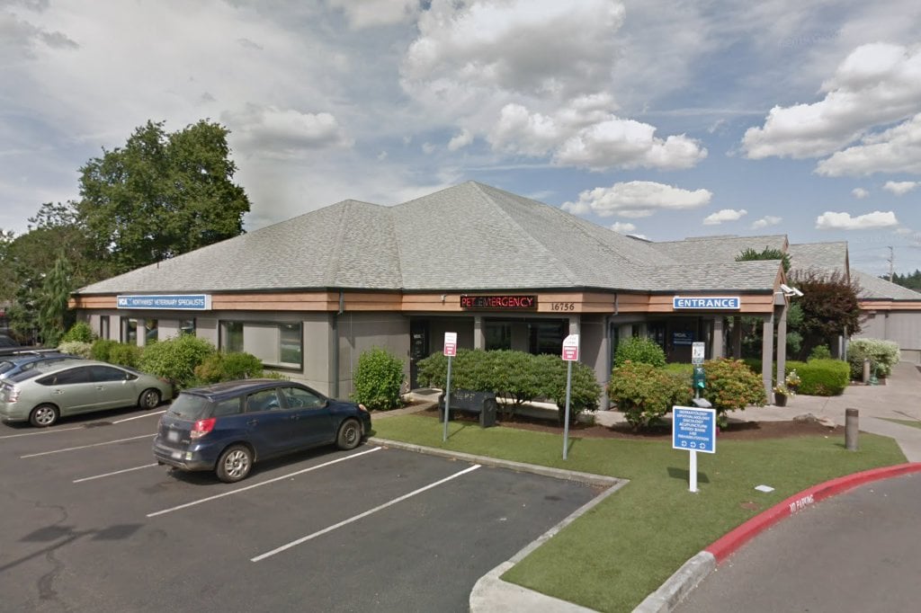 Northwest Veterinary Speclsts