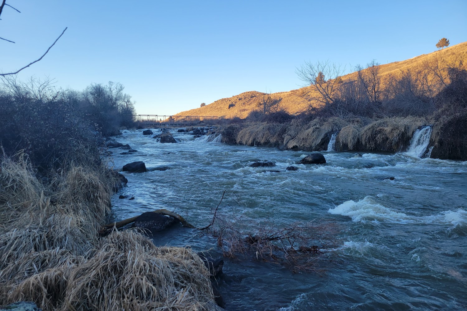 Klamath Humane Society