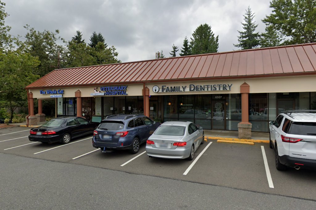 All About Cats Veterinary Hospital