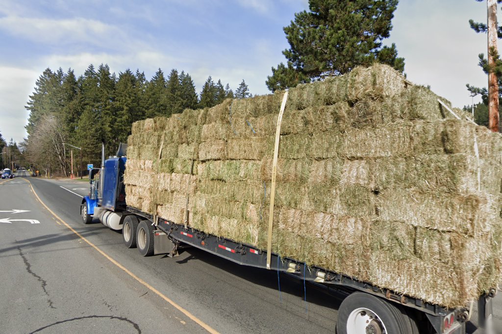 Cottage Lake Veterinary Hospital