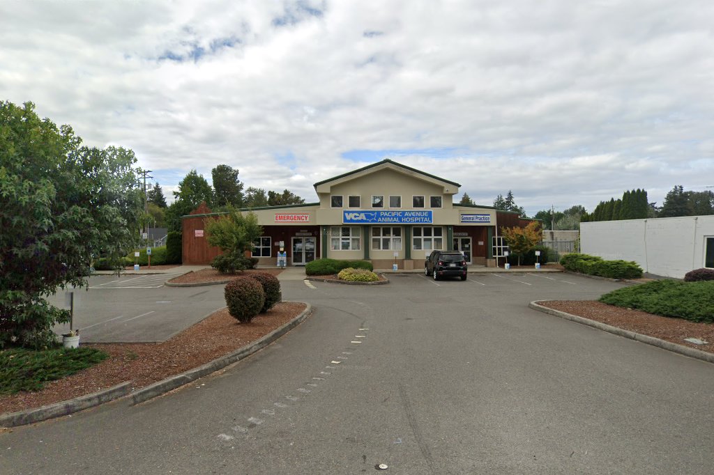 VCA Pacific Avenue Animal Hospital