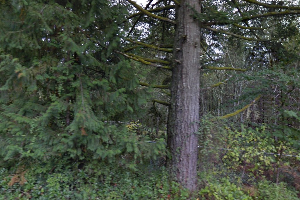 Wild Felid Advocacy Center of Washington