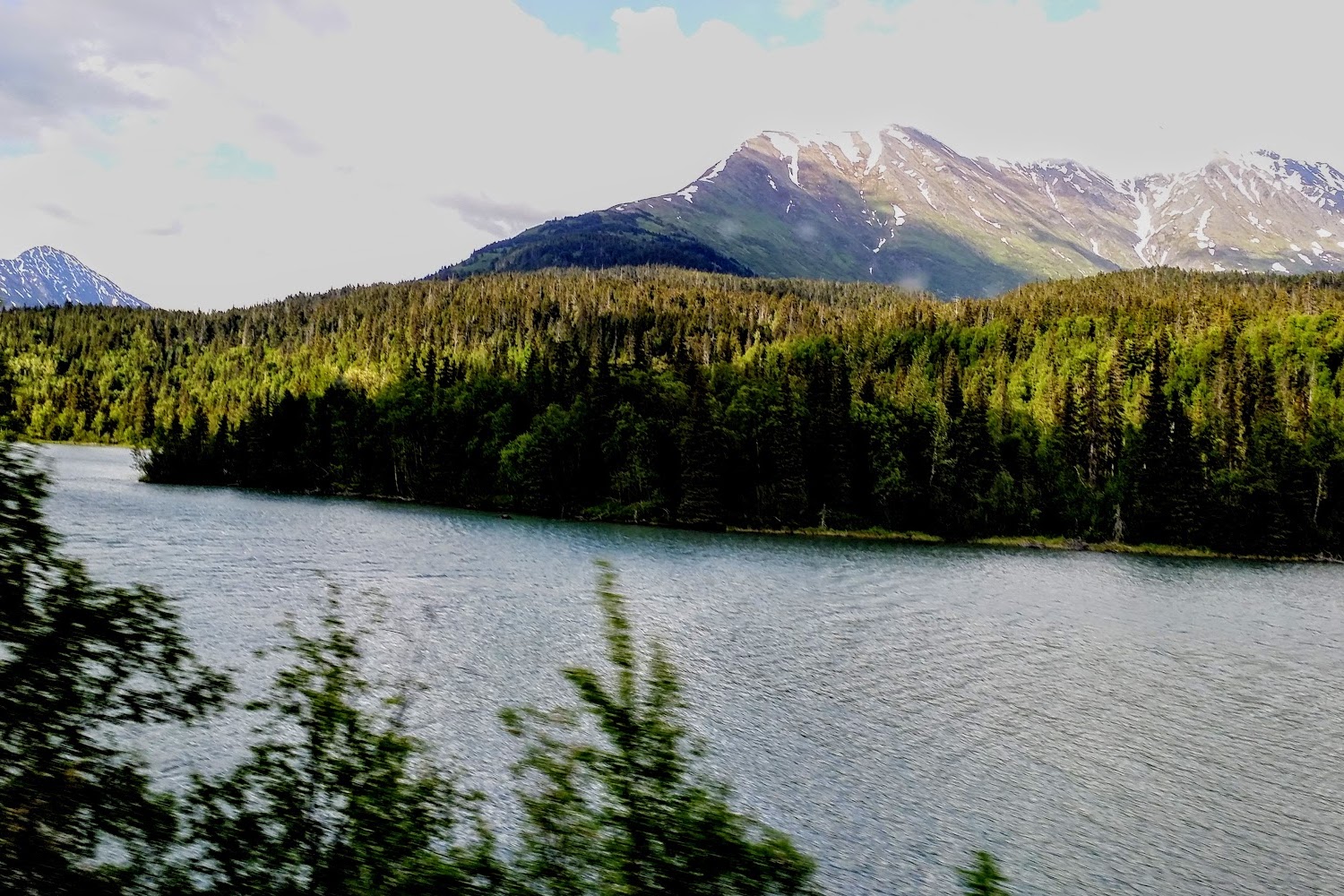 Seward Animal Clinic