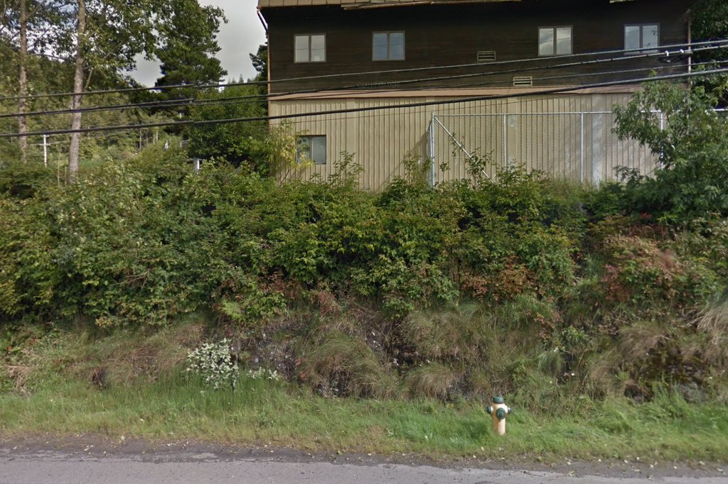 Ketchikan Gateway Borough Animal Protection Pat Wise Shelter