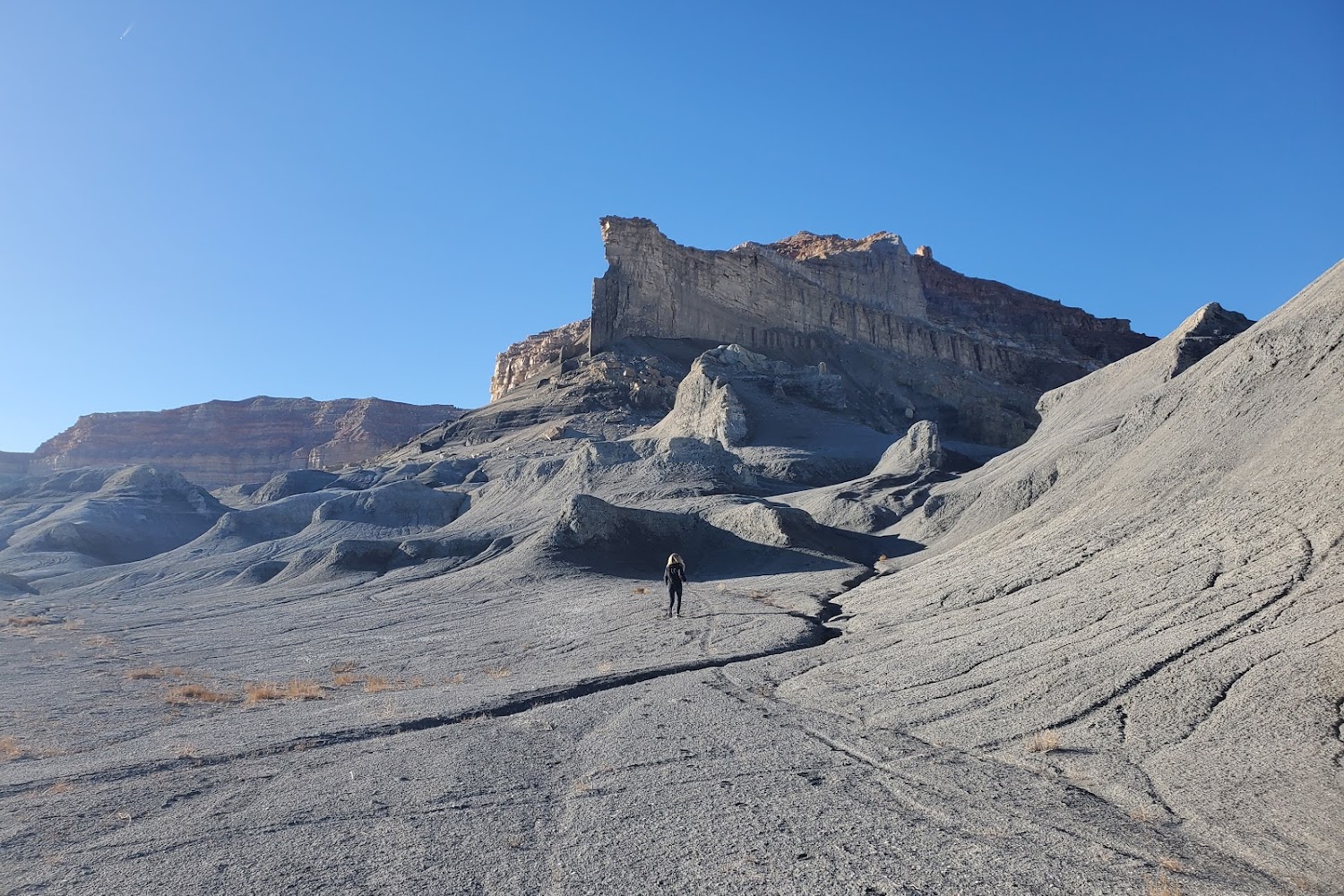 Page Lake Powell Humane Association