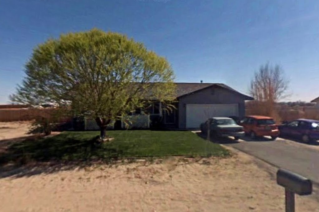 Wind Willow Ferret Rescue