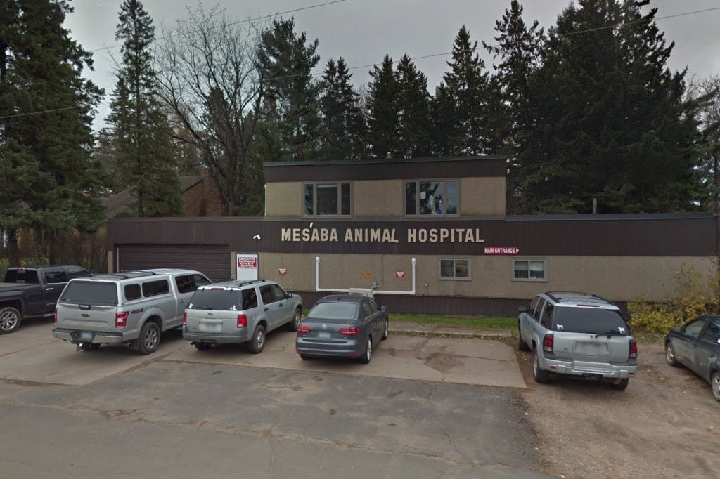 Mesaba Animal Hospital