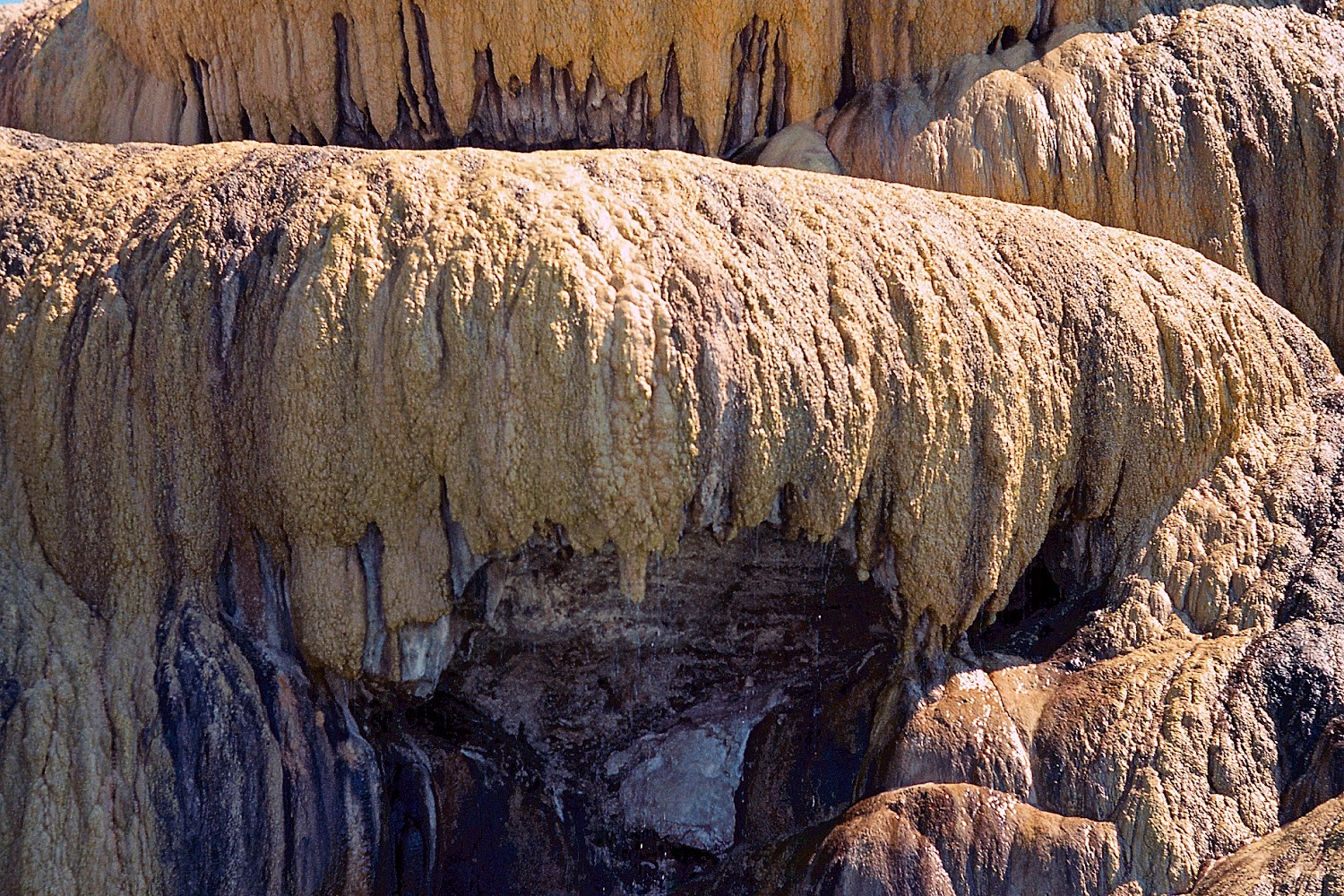 Owl Creek Veterinary Service