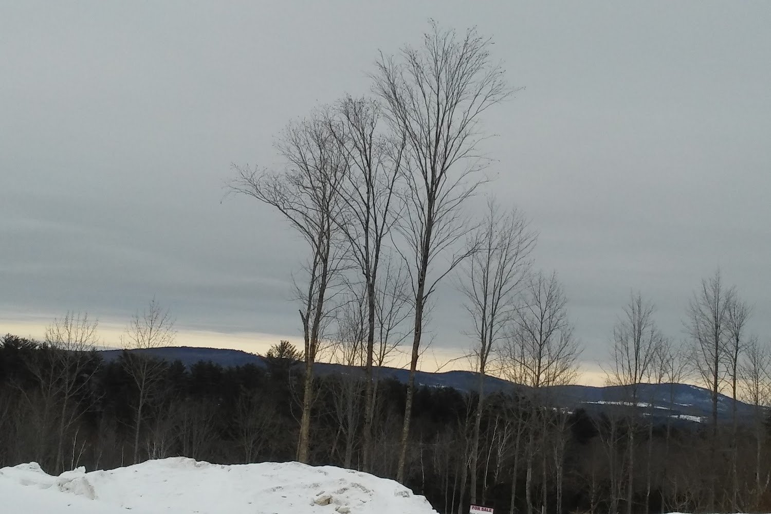 West Paris Animal Shelter