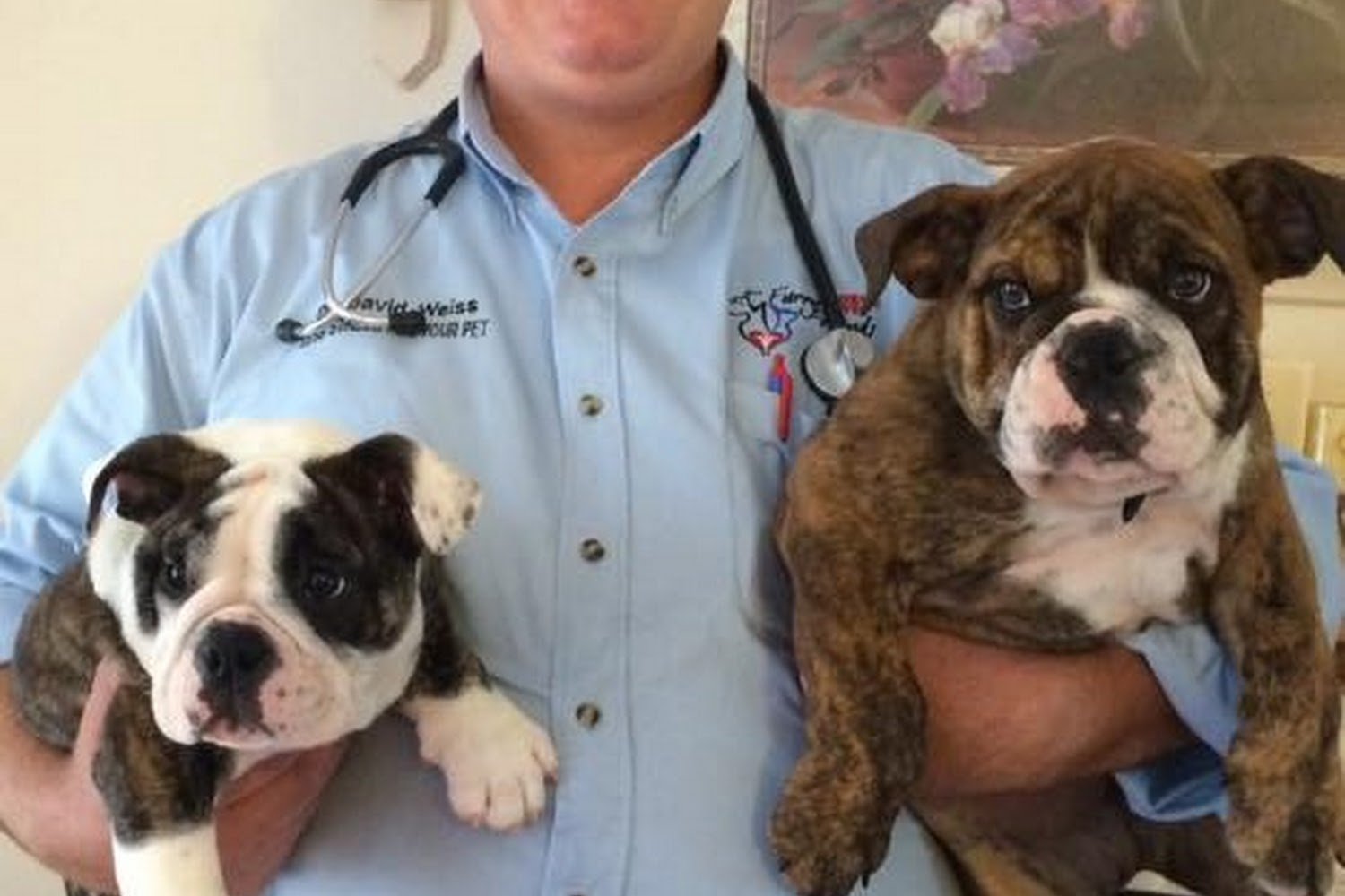 Cat Hospital of Ocean County