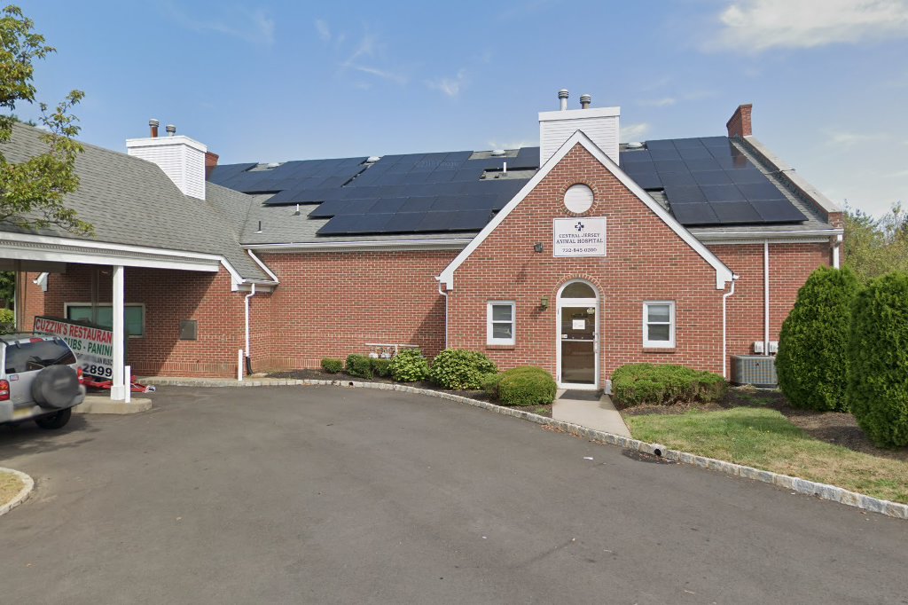 Animal Hospital At Poets Square