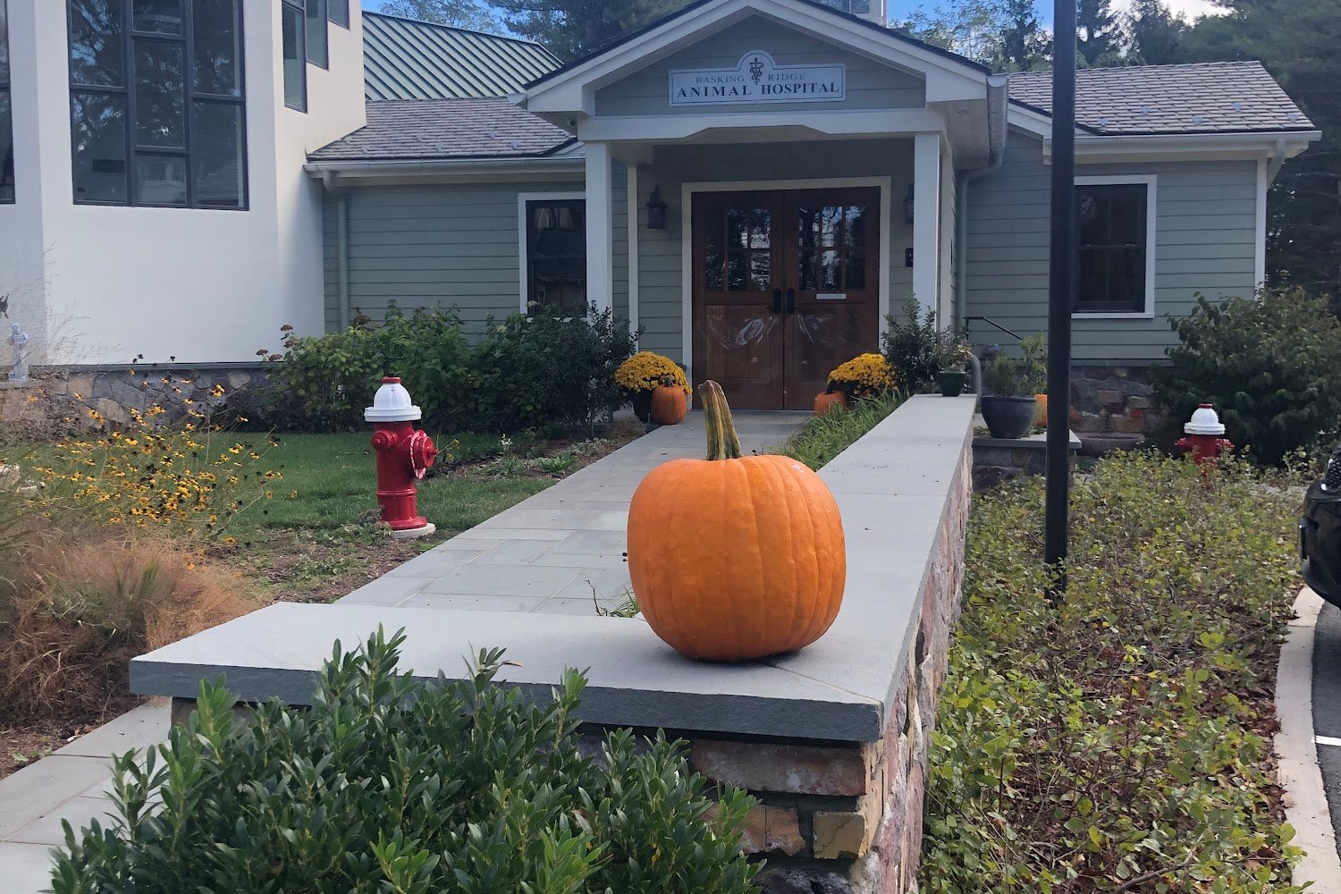 Basking Ridge Animal Hospital