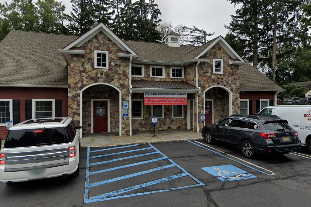 Black River Veterinary Hospital