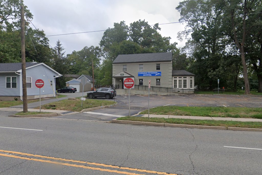 Companion Veterinary