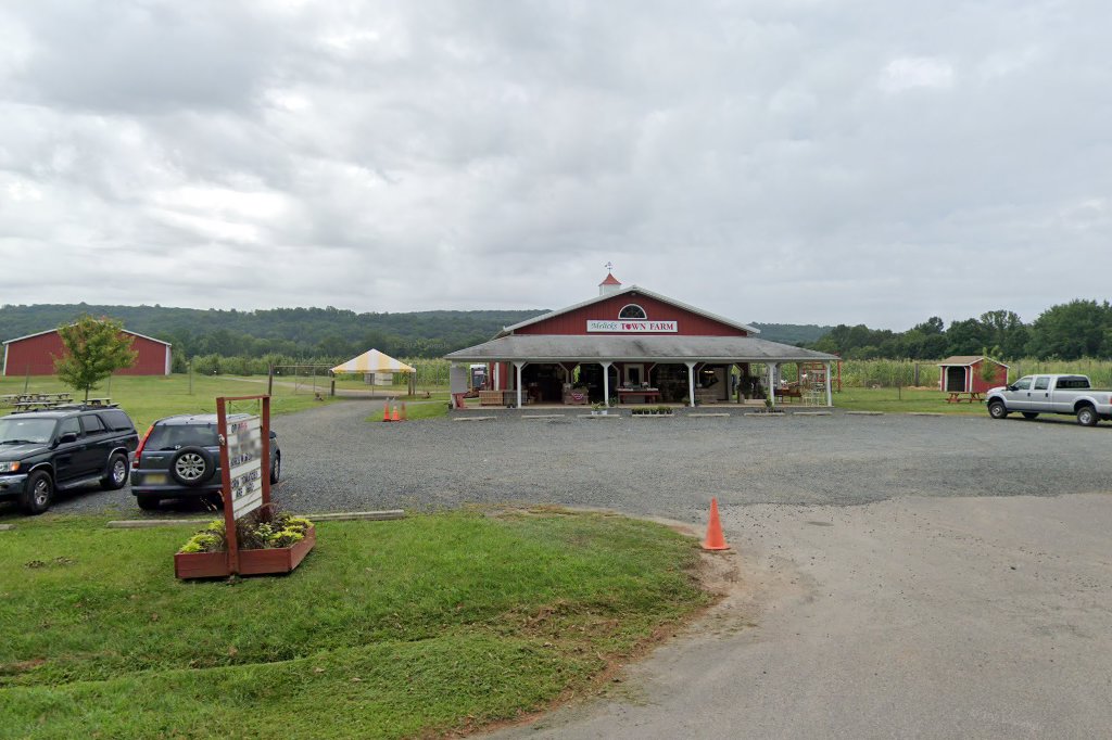 Califon Animal Hospital