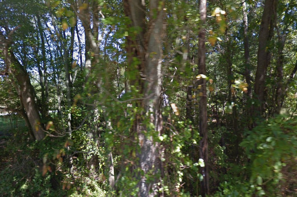 Decktor Veterinary Hospital & Clinic