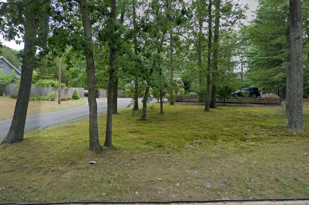 Jackson Veterinary Clinic