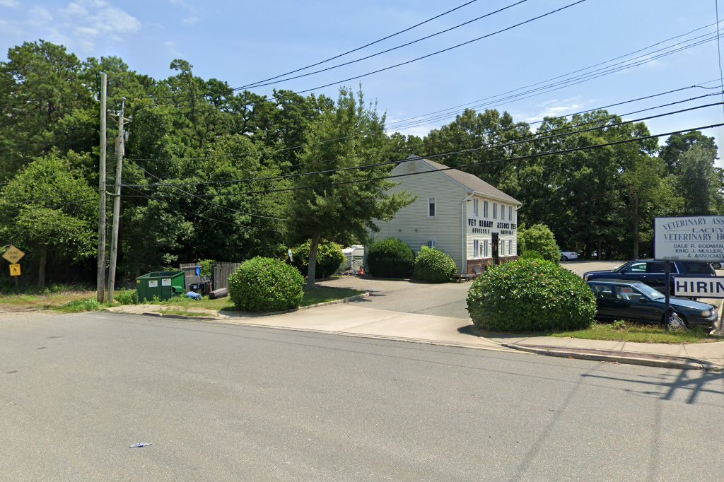 Lacey Veterinary Hospital